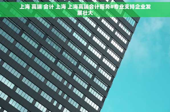 上海 高端 会计 上海 上海高端会计服务#专业支持企业发展壮大