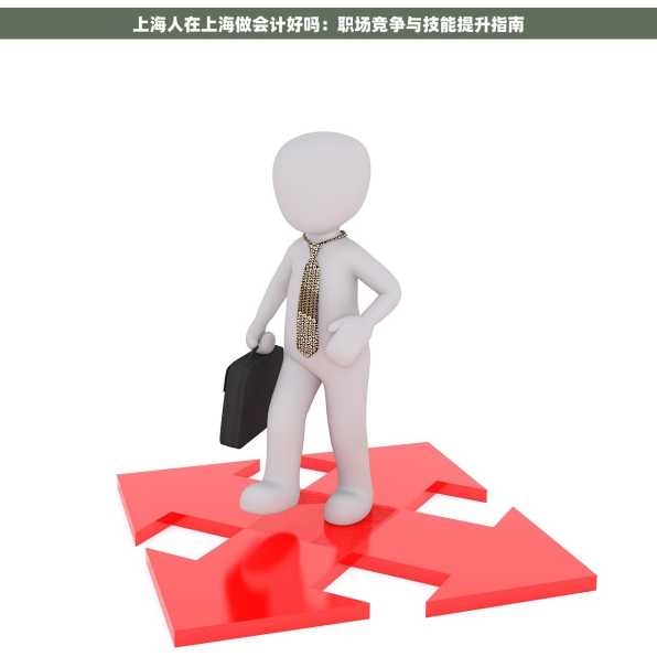 上海人在上海做会计好吗：职场竞争与技能提升指南