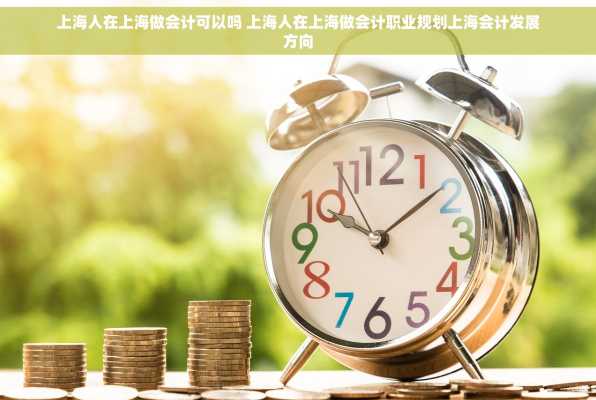 上海人在上海做会计可以吗 上海人在上海做会计职业规划上海会计发展方向