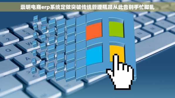 崇明电商erp系统定做突破传统管理瓶颈从此告别手忙脚乱