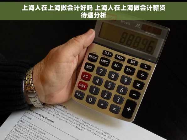 上海人在上海做会计好吗 上海人在上海做会计薪资待遇分析