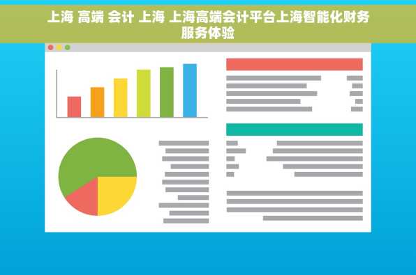 上海 高端 会计 上海 上海高端会计平台上海智能化财务服务体验