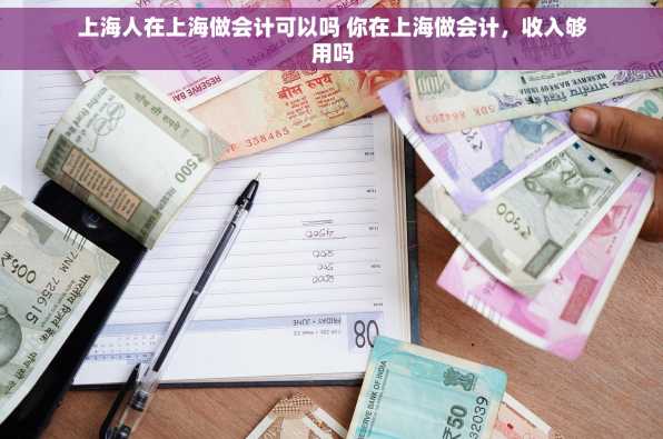 上海人在上海做会计可以吗 你在上海做会计，收入够用吗