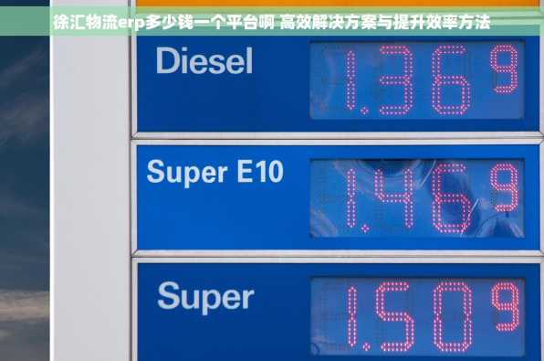 徐汇物流erp多少钱一个平台啊 高效解决方案与提升效率方法