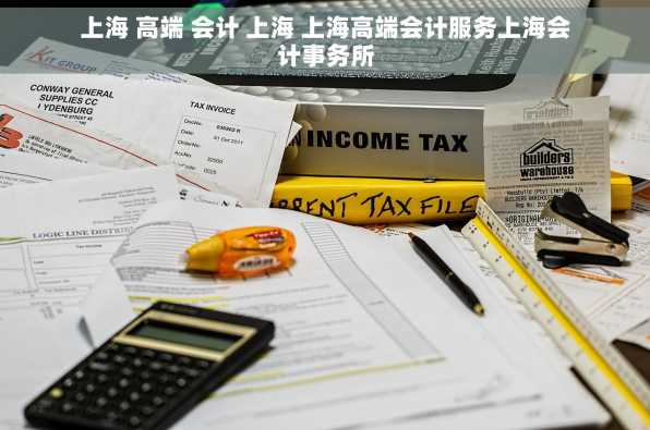 上海 高端 会计 上海 上海高端会计服务上海会计事务所