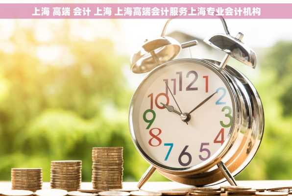 上海 高端 会计 上海 上海高端会计服务上海专业会计机构