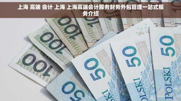 上海 高端 会计 上海 上海高端会计服务财务外包管理一站式服务介绍