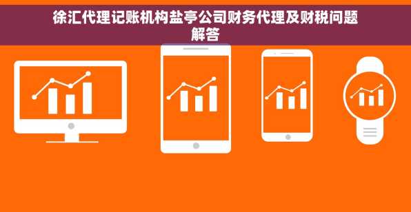 徐汇代理记账机构盐亭公司财务代理及财税问题解答