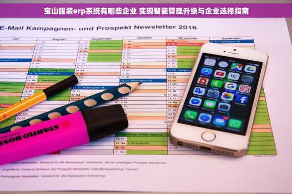 宝山服装erp系统有哪些企业 实现智能管理升级与企业选择指南