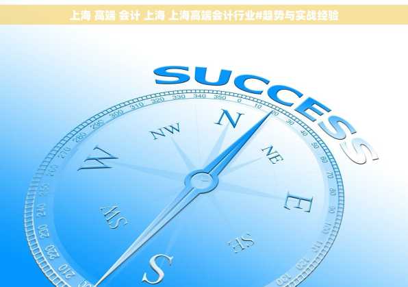上海 高端 会计 上海 上海高端会计行业#趋势与实战经验
