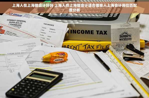 上海人在上海做会计好吗 上海人在上海做会计适合哪些人上海会计岗位匹配度分析