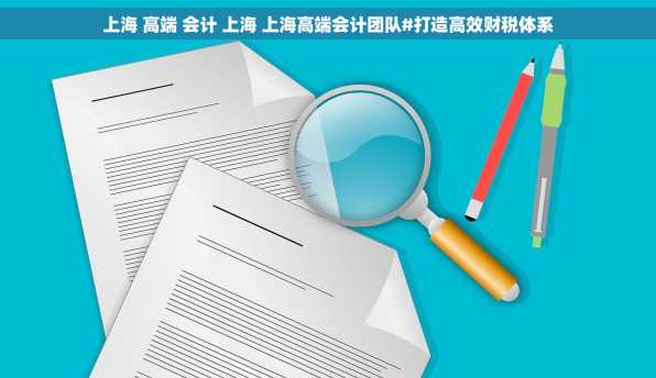 上海 高端 会计 上海 上海高端会计团队#打造高效财税体系