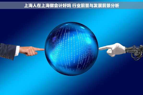 上海人在上海做会计好吗 行业前景与发展前景分析