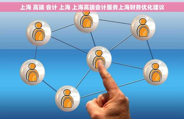 上海 高端 会计 上海 上海高端会计服务上海财务优化建议