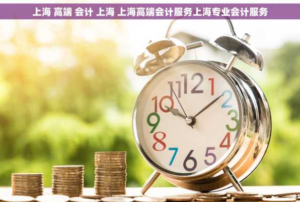 上海 高端 会计 上海 上海高端会计服务上海专业会计服务