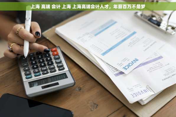 上海 高端 会计 上海 上海高端会计人才，年薪百万不是梦
