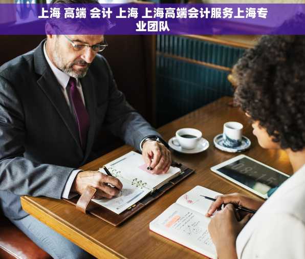 上海 高端 会计 上海 上海高端会计服务上海专业团队