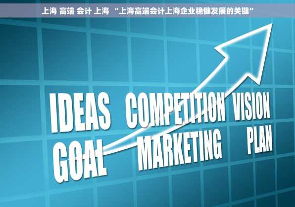 上海 高端 会计 上海 “上海高端会计上海企业稳健发展的关键”