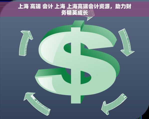 上海 高端 会计 上海 上海高端会计资源，助力财务精英成长