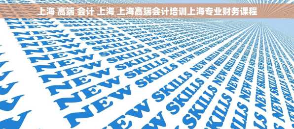 上海 高端 会计 上海 上海高端会计培训上海专业财务课程