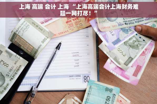 上海 高端 会计 上海 “上海高端会计上海财务难题一网打尽！”