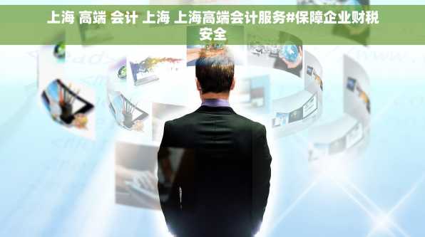 上海 高端 会计 上海 上海高端会计服务#保障企业财税安全