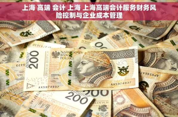 上海 高端 会计 上海 上海高端会计服务财务风险控制与企业成本管理