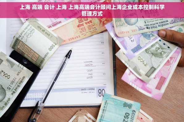 上海 高端 会计 上海 上海高端会计顾问上海企业成本控制科学管理方式
