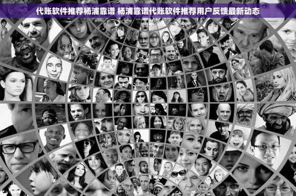 代账软件推荐杨浦靠谱 杨浦靠谱代账软件推荐用户反馈最新动态