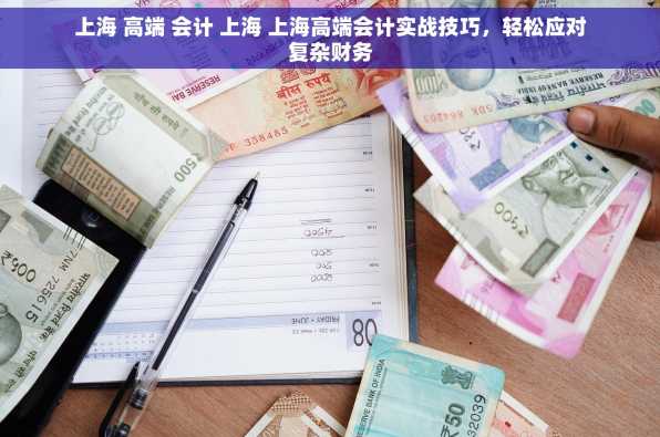 上海 高端 会计 上海 上海高端会计实战技巧，轻松应对复杂财务