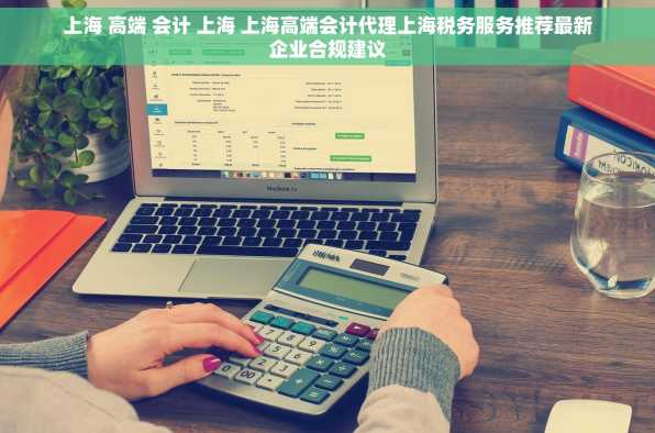 上海 高端 会计 上海 上海高端会计代理上海税务服务推荐最新企业合规建议