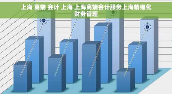 上海 高端 会计 上海 上海高端会计服务上海精细化财务管理