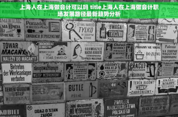上海人在上海做会计可以吗 title上海人在上海做会计职场发展路径最新趋势分析