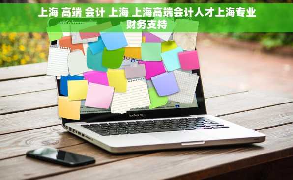 上海 高端 会计 上海 上海高端会计人才上海专业财务支持