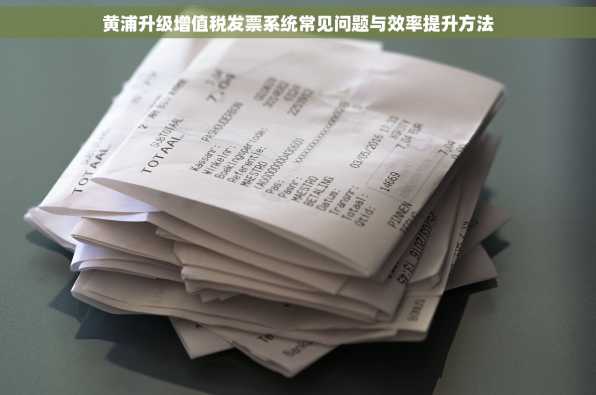 黄浦升级增值税发票系统常见问题与效率提升方法