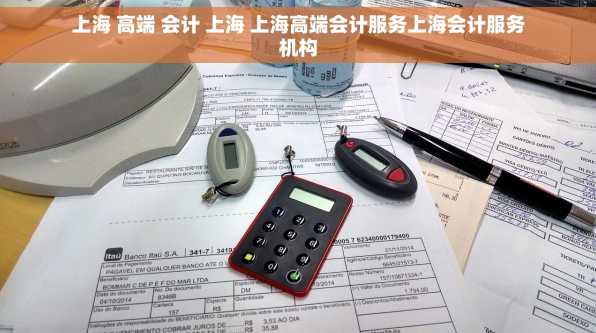 上海 高端 会计 上海 上海高端会计服务上海会计服务机构