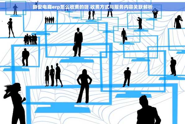 静安电商erp怎么收费的呀 收费方式与服务内容关联解析
