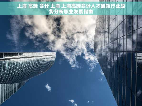 上海 高端 会计 上海 上海高端会计人才最新行业趋势分析职业发展指南