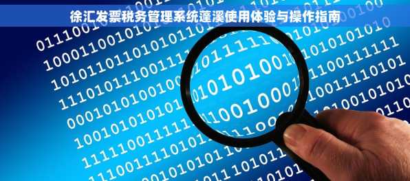徐汇发票税务管理系统蓬溪使用体验与操作指南