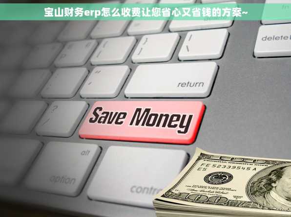 宝山财务erp怎么收费让您省心又省钱的方案~