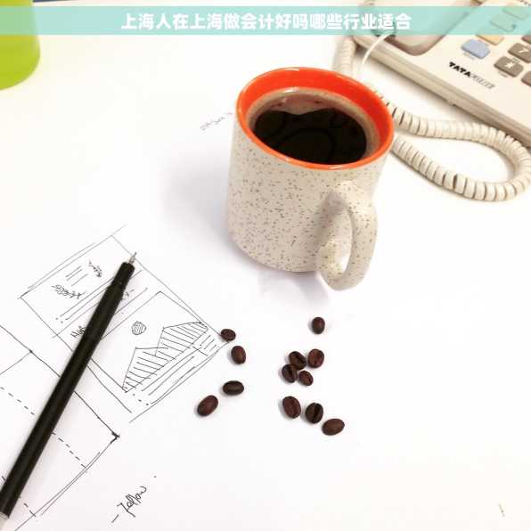 上海人在上海做会计好吗哪些行业适合