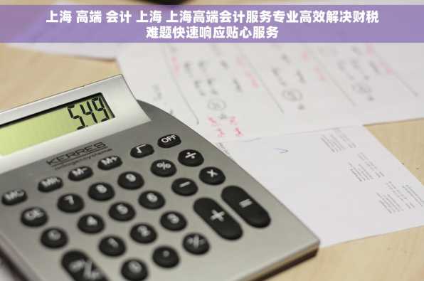 上海 高端 会计 上海 上海高端会计服务专业高效解决财税难题快速响应贴心服务