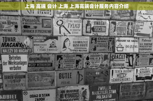 上海 高端 会计 上海 上海高端会计服务内容介绍