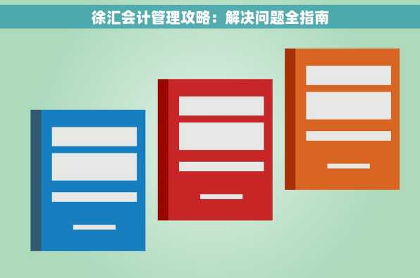 徐汇会计管理攻略：解决问题全指南
