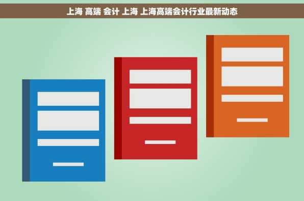 上海 高端 会计 上海 上海高端会计行业最新动态