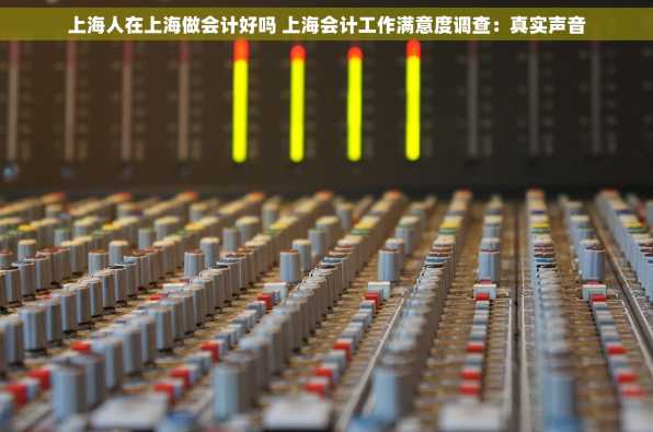 上海人在上海做会计好吗 上海会计工作满意度调查：真实声音