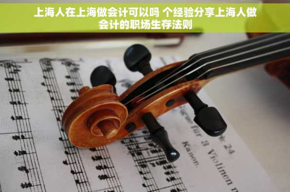 上海人在上海做会计可以吗 个经验分享上海人做会计的职场生存法则