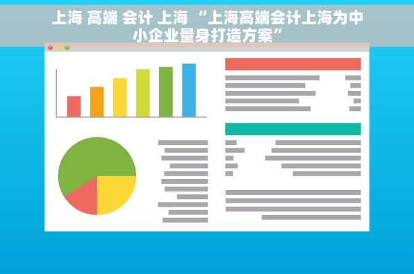 上海 高端 会计 上海 “上海高端会计上海为中小企业量身打造方案”