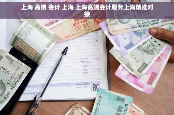 上海 高端 会计 上海 上海高端会计服务上海精准对接