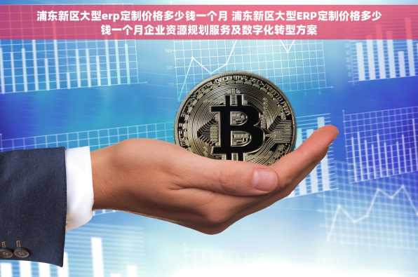浦东新区大型erp定制价格多少钱一个月 浦东新区大型ERP定制价格多少钱一个月企业资源规划服务及数字化转型方案